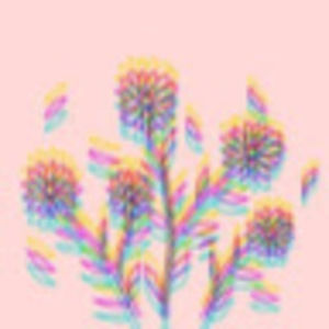 Meet your Posher, Miah miller